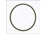 Guarnizione Pompa Del Vuoto Bmw 1 1.6 12-