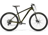 AMULET AMULET 29 Rival 8.0 SH, chrome green/black, 2024 Velikost XL