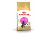 Royal Canin Gattino Maine Coon 2Kg