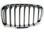 Blic 6502-07-0086995P - Oe 51 13 7 262 117 Griglia Radiatore, Sinistra Per Serie 1 (F20), Serie 1 (F21)