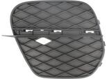 Blic 6502-07-0096915P - Griglia Di Ventilazione Oe 51117222859, Sinistra Per X5 (E70)