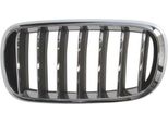 Blic 6502-07-00969933P - Griglia Radiatore Oe 51137316061, Sinistra Per X5 (F15, F85), X6 (F16)