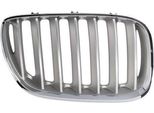 Blic 6502-07-0095998P - Griglia Radiatore Oe 51137124816, Destra Per X5 (E53)