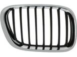 Blic 6502-07-0095994P - Oe 51 13 8 402 646 Griglia Del Radiatore, Destra Per X5 (E53)