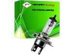 58041 - Lampadina Veicolo, H4 12V 100/80W (P43T)