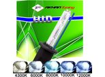 XBH1-4300K - Lampadina Allo Xeno Per Auto, Lampada, H1 35W 4300K (P14,5S)