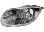 Alkar 2101399 - Indicatore Di Direzione Oe 1219836, Sinistro Per Focus (Daw, Dbw), Focus (Dnw), Focus (Dfw)