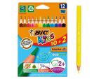 Matite Bic Evolution Triangle 12 Colori