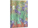 Note Gli Iris Di Van Gogh Midi Linia