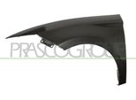 Prasco ST4263004 - Parafango Oe 5F0821021, Anteriore Sinistro Per Leon (5F)