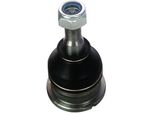 Denckermann Giunto Sferico Inferiore Anteriore Per Renault Laguna I (B56, 556) D110028