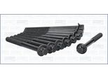 Bulloni Testa Renault Laguna 2.0 07-