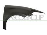 Prasco ST4263003 - Parafango Oe 5F0821022C, Anteriore Destro Per Leon (5F)