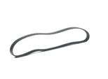 Stark SKTIB-0780042 - Cinghia Dentata Oe 068109119 Per Jetta Ii (165, 19E, 1G2)