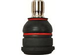 Giunto Sferico Trw Anteriore Sinistro Destro Inferiore Esterno Per Ford Fiesta Mk6 Hatchback (JA8, JR8) JBJ7640