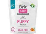 Brit Care Salmone Per Cuccioli Senza Cereali 1Kg