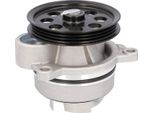 Pompa Acqua Ford 2.0 Ecoblue