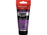 Amsterdam Expert Series Vernice Acrilica In Tubetto 75 Ml Viola Permanente Opaco 589