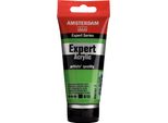 Amsterdam Expert Series Vernice Acrilica In Tubetto 75 Ml Verde Chiaro Permanente 618