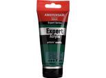 Amsterdam Serie Expert Tubo Di Vernice Acrilica 75 Ml Verde Scuro Permanente 619