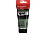 Amsterdam Serie Expert Tubo Di Vernice Acrilica 75 Ml Verde Ossido Di Cromo 668