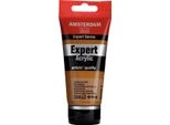 Amsterdam Expert Series Vernice Acrilica In Tubetto 75 Ml Siena Nature 234