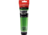 Amsterdam Expert Series Vernice Acrilica In Tubetto 150 Ml Verde Chiaro Permanente 618