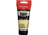 Amsterdam Serie Expert Tubo Di Vernice Acrilica 75 Ml Giallo Limone Permanente Light 217
