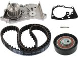 Set Pompa Acqua + Cinghia Di Distribuzione Skf Vkmc 06009