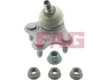 Perno Braccio Di Comando Vw P. A1 10- Polo 07- Ibiza 02- Fabia 07- Roomster 06- Pr