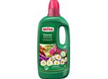 Substral® 73990 Substral® Pflanzen Nahrung GrüNpflanzendüNger 1,0 L