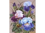 Pittura Per Numeri - Iris 40X50Cm