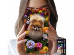 Custodia Per Samsung Galaxy Xcover 7 - Cane Carino, Custodia Pomerania + Vetro