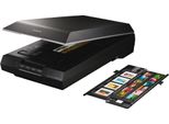 Scanner Piano Epson Perfection V600 - Risoluzione Ottica 6400 Dpi - Profondità Colore 48 Bit - Scala Di Grigi 16 Bit - Usb