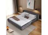 Letto Matrimoniale 140×200 Cm, Tessuto In Ciniglia, Comodo Schienale, Robusta Struttura In Eucalipto E Ferro, Facile Da Montare, Grigio Scuro (Senza Materasso)