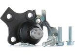 Jp Group 1140301900 - Oe 357407365A Giunto Sferico Inferiore Anteriore Per Golf Cabriolet (1E), Passat (35I), Polo (6V), Cordoba (6K), Ibiza (6K), Caddy Ii (9K), Inca (6K), Jetta Ii (165, 19E, 1G2), Corrado (53I), Golf Iii (1H), Vento (1H), Toledo I (1L2)
