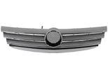 Blic 6502-07-3506990P - Oe 169 880 09 83 97 44 Griglia Del Radiatore Per Classe A (W169)