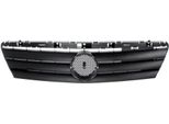 Blic 6502-07-3505990P - Oe 168 888 00 60 Griglia Del Radiatore Per Classe A (W168)