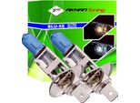 H155W - Lampadina Alogena Per Auto, Ottica Allo Xeno, H1 12V 55W (P14,5S)