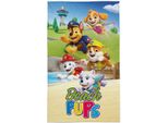 Detexpol Asciugamano Da Spiaggia Paw Patrol Cotone - Terry, 50/30 Cm