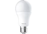 Toshiba 384488 A70 E27 15W Lampadina A Led Trasparente Trasparente Taglia Unica