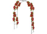 Arco Di Rose Kinzo - 240 X 140 Cm - Pergola In Metallo Resistente Per Giardino E Terrazza