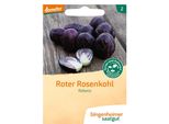 Rosenkohl Rot 1StüCk