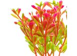 Kruger Meier Plant Fluo Pink - Pianta Artificiale Kruger Meier