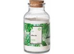Candela Profumata Go Green - Dive In 420G