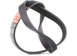 Gates 4PK668 Keilrippenriemen Oe 46736814 Kompatibel Mit Combo, Ypsilon, Ka, Strada, Stilo, Siena, Seicento, Punto, Panda, Palio, Linea, Idea, Grande Punto, Doblo, Bravo, 500C, 500, Matiz, Kalos, Spark, Aveo, Mito