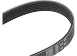 Gates 6PK975 Cinghia Trapezoidale Dentata Oe 60625590 Compatibile Con Vento, Up, Sharan, Polo 6V, Polo 6R, Passat 35I, Load Up, Golf Iii, Golf Iv, Crafter, Corrado, V70, V60, V50, S80, S60, S40, C30, Fabia, Citigo, Toledo, Mii, Ibiza, Cordoba, Partner, 508, 5008, 407, 308, 307, 3008, 208, 207, 206, 2008, 1007, Clubman, Mini, 3, 2, Ix35, Elantra, Transit, Tourneo, Ka, Fusion, Focus, Fiesta, Ecospor