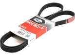 Gates 5PK1545 - Keilrippenriemen Oe 55350421 Per 159 (939), Croma, Stilo, Astra G, Astra H, Astra (A04), Corsa D (S07), Corsa E (X15), Meriva (X03), Signum (Z03), Vectra C (Z02), Zafira B, Zafira A