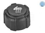 Meyle 16-14 228 0000 - Tappo Oe 8200048024, Serbatoio Del Refrigerante Per Aveo T250, T255, Golf Iii 1H