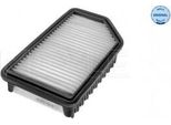 Meyle 28-12 321 0013 - Filtro Aria Oe 28113 1R100 Per Escort V